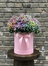 Цветочная композиция из Гипсофила и Розы в шляпной коробке в Катайске