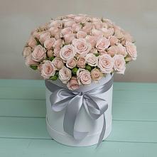 Цветочная композиция из Розы в шляпной коробке #REPLACE_PRED# Катайске