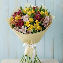 Букет цветов из:  Альстромерии в Катайске
