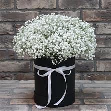 Цветочная композиция из Гипсофила в шляпной коробке в Катайске