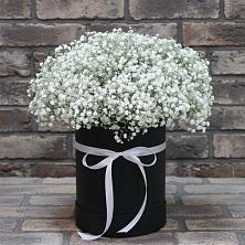 Цветочная композиция из Гипсофила в шляпной коробке в Катайске