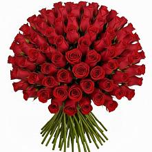 Букет Красные розы Чери Лав в Катайске